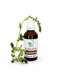 Alcoolature Aigremoine