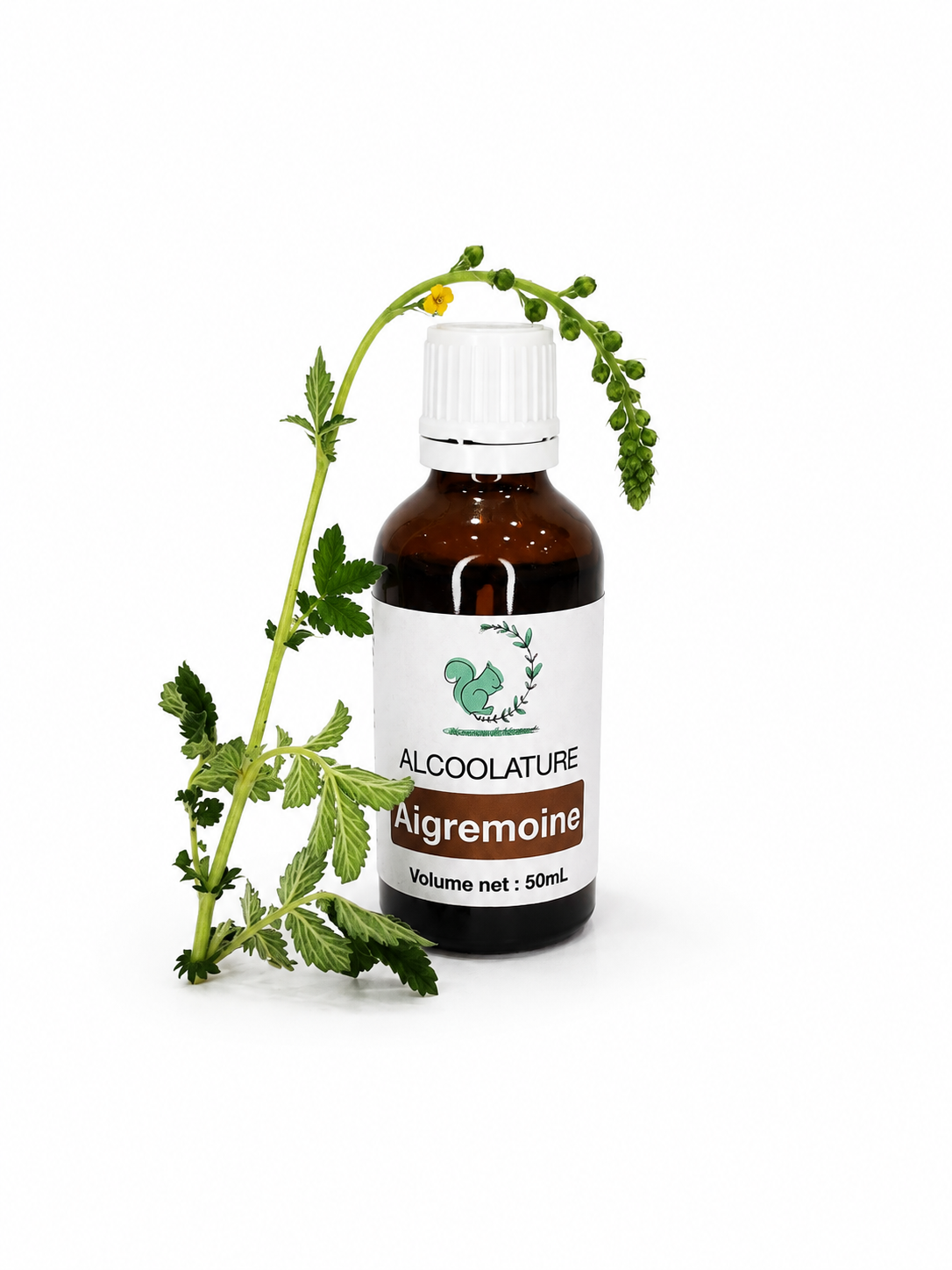 Alcoolature Aigremoine
