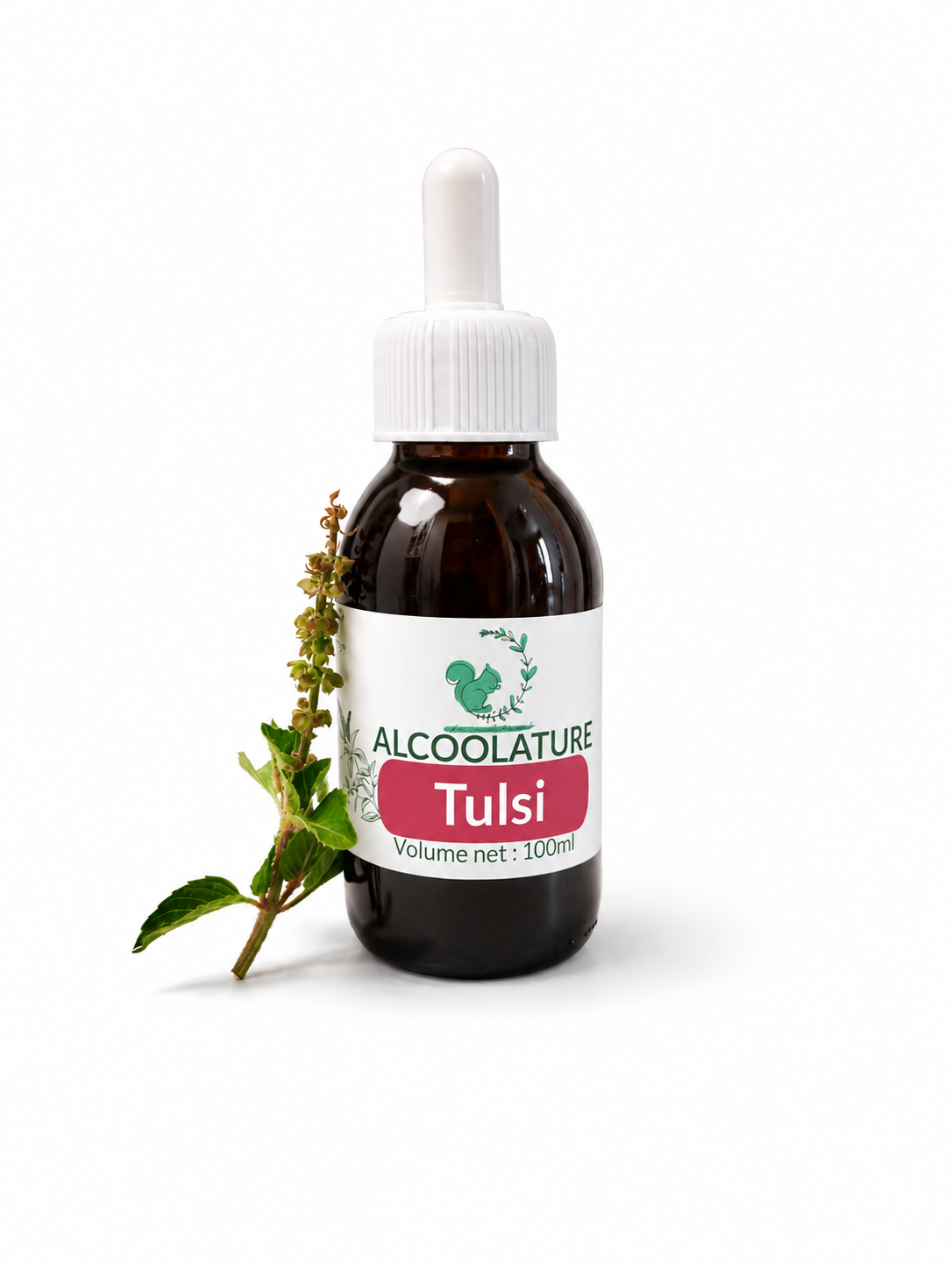 Alcoolature Basilic sacré Tulsi