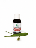 Alcoolature Plantain