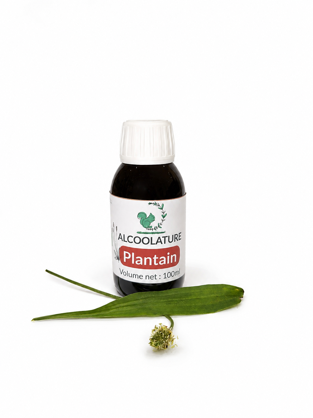 Alcoolature Plantain